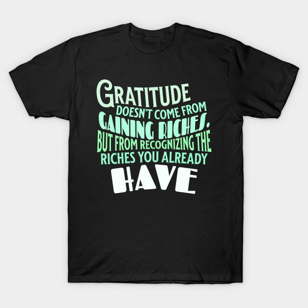 The true meaning of Gratitude T-Shirt by Mey Designs